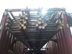 北京竹竿定做竹籬笆廠家 傳統(tǒng)與現(xiàn)代結合的建筑材料選擇